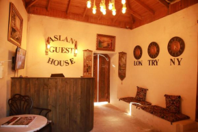 Отель Aslan Guest House  Шанлыурфа